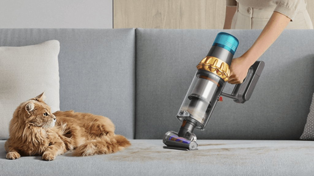 dyson v15 detect absolute